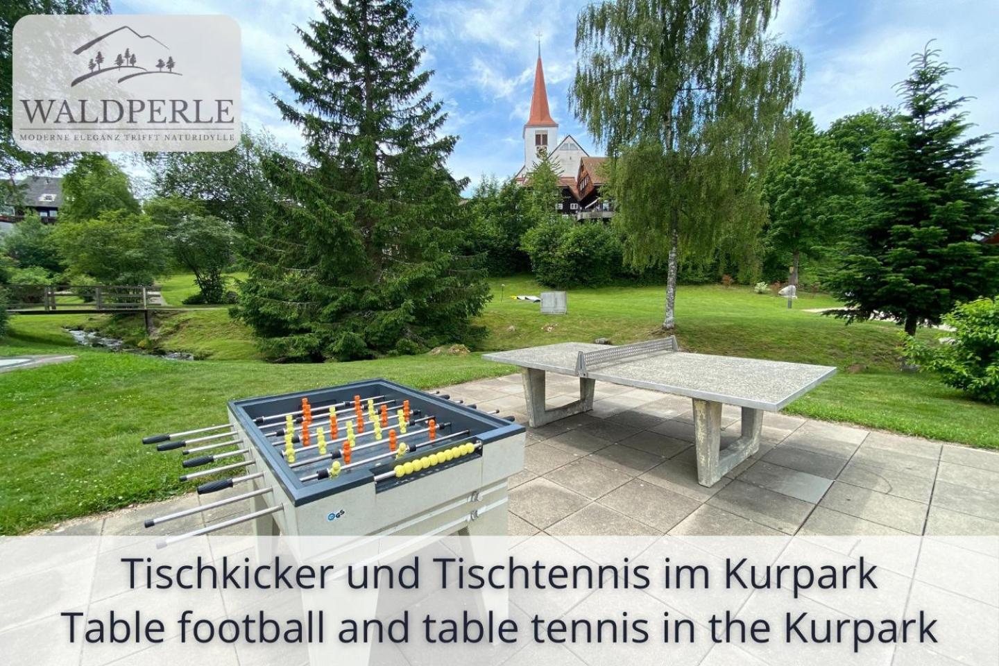 Exklusives 5-Sterne Apartment Waldperle Mit Indoor-Pool, Sauna, Top Lage Und Ausblick In Die Natur, Hunde Willkommen Schonach im Schwarzwald Exteriör bild