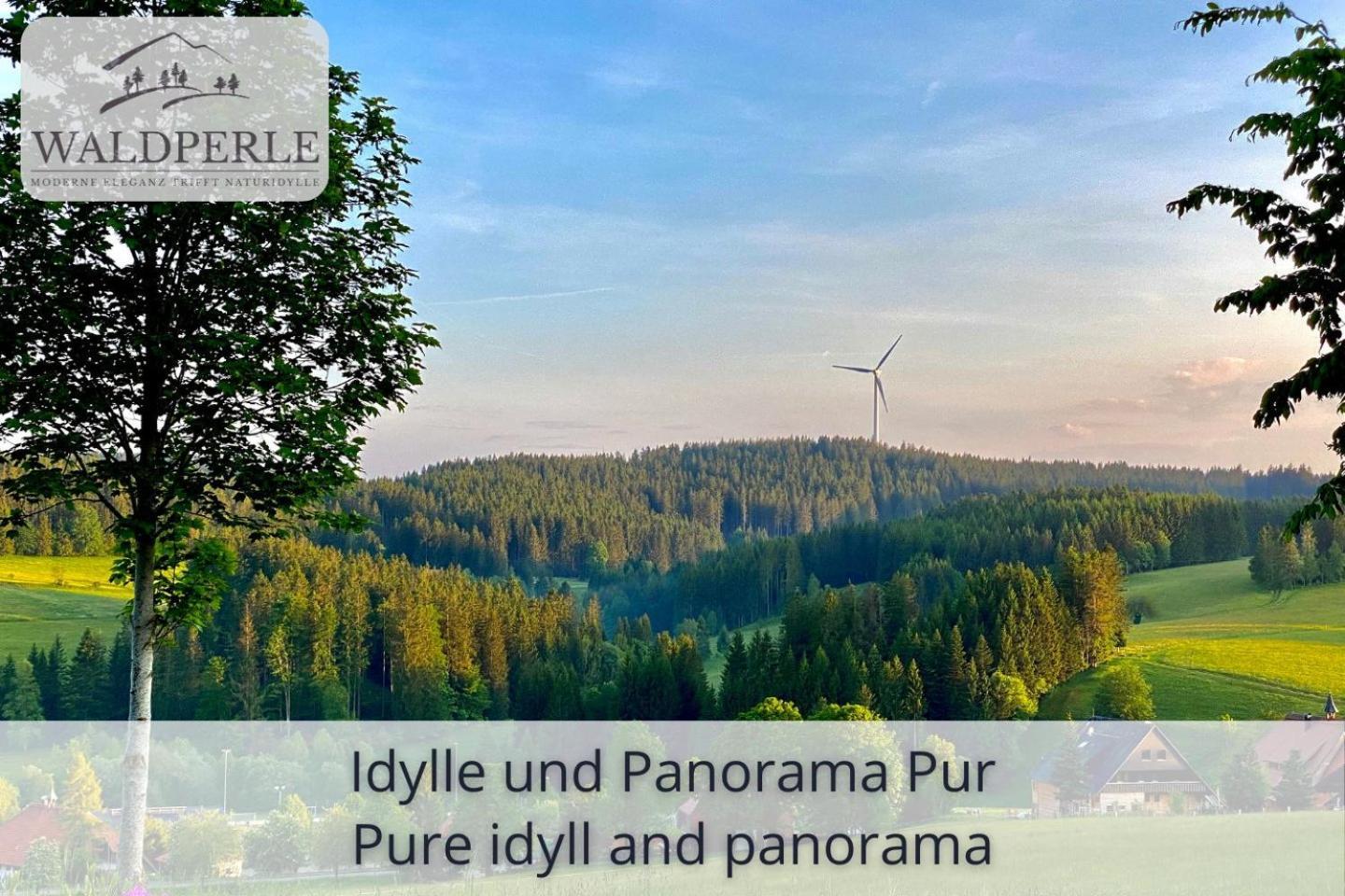 Exklusives 5-Sterne Apartment Waldperle Mit Indoor-Pool, Sauna, Top Lage Und Ausblick In Die Natur, Hunde Willkommen Schonach im Schwarzwald Exteriör bild