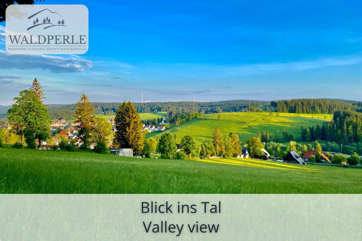 Exklusives 5-Sterne Apartment Waldperle Mit Indoor-Pool, Sauna, Top Lage Und Ausblick In Die Natur, Hunde Willkommen Schonach im Schwarzwald Exteriör bild